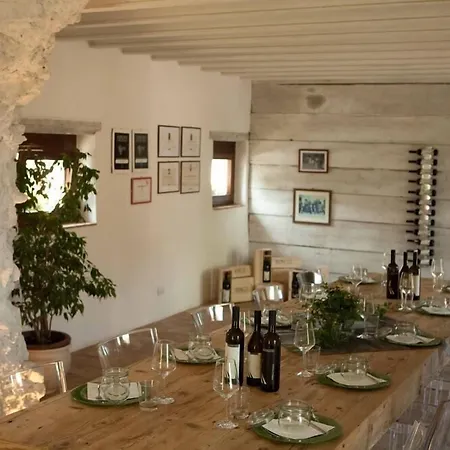 팜스테이 Casa Griunit *