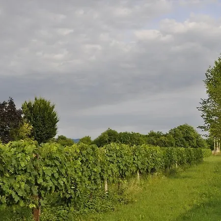 팜스테이 Casa Griunit *