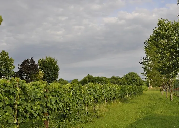 Farmház Casa Griunit *